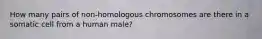 How many pairs of non-homologous chromosomes are there in a somatic cell from a human male?