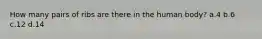 How many pairs of ribs are there in the human body? a.4 b.6 c.12 d.14