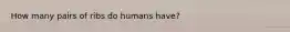 How many pairs of ribs do humans have?