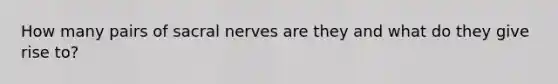 How many pairs of sacral nerves are they and what do they give rise to?