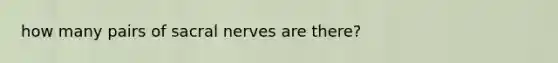 how many pairs of sacral nerves are there?