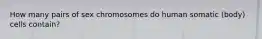 How many pairs of sex chromosomes do human somatic (body) cells contain?