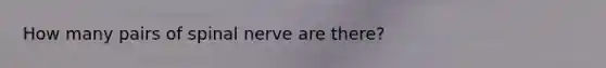 How many pairs of spinal nerve are there?