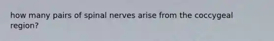 how many pairs of spinal nerves arise from the coccygeal region?