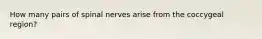 How many pairs of spinal nerves arise from the coccygeal region?