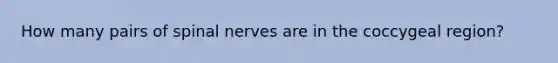 How many pairs of spinal nerves are in the coccygeal region?