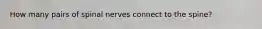How many pairs of spinal nerves connect to the spine?