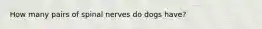 How many pairs of spinal nerves do dogs have?
