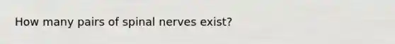 How many pairs of spinal nerves exist?