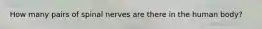 How many pairs of spinal nerves are there in the human body?