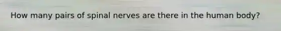 How many pairs of spinal nerves are there in the human body?