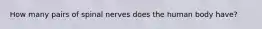 How many pairs of spinal nerves does the human body have?