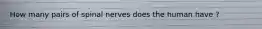 How many pairs of spinal nerves does the human have ?