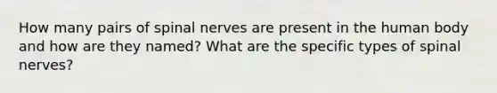 How many pairs of <a href='https://www.questionai.com/knowledge/kyBL1dWgAx-spinal-nerves' class='anchor-knowledge'>spinal nerves</a> are present in the human body and how are they named? What are the specific types of spinal nerves?