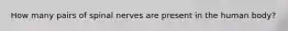 How many pairs of spinal nerves are present in the human body?