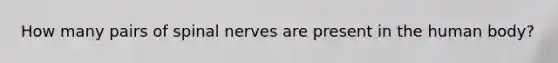 How many pairs of spinal nerves are present in the human body?