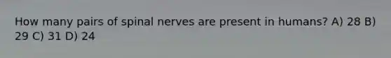How many pairs of <a href='https://www.questionai.com/knowledge/kyBL1dWgAx-spinal-nerves' class='anchor-knowledge'>spinal nerves</a> are present in humans? A) 28 B) 29 C) 31 D) 24