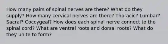 How many pairs of spinal nerves are there? What do they supply? How many cervical nerves are there? Thoracic? Lumbar? Sacral? Coccygeal? How does each spinal nerve connect to the spinal cord? What are ventral roots and dorsal roots? What do they unite to form?