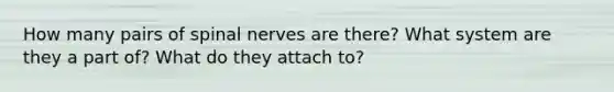 How many pairs of spinal nerves are there? What system are they a part of? What do they attach to?