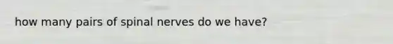 how many pairs of spinal nerves do we have?