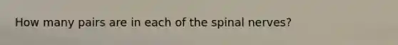 How many pairs are in each of the spinal nerves?