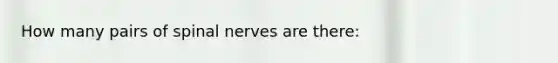 How many pairs of spinal nerves are there: