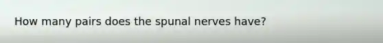 How many pairs does the spunal nerves have?