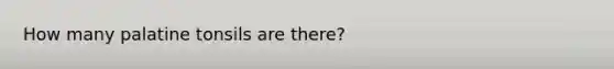 How many palatine tonsils are there?