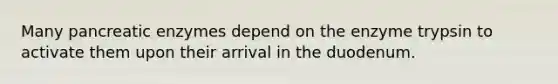 Many pancreatic enzymes depend on the enzyme trypsin to activate them upon their arrival in the duodenum.
