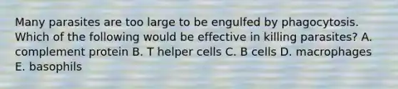 Many parasites are too large to be engulfed by phagocytosis. Which of the following would be effective in killing parasites? A. complement protein B. T helper cells C. B cells D. macrophages E. basophils