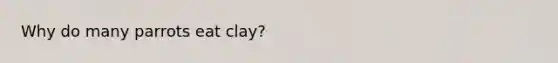 Why do many parrots eat clay?