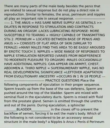 There are many parts of the male body besides the penis that are related to sexual response but do not play a direct role in reproduction. Similar to females, the anus, perineum and nipples all play an important role in sexual response. -------------------------------- 1. THE ANUS = HAS SAME NERVE SUPPLY AS GENITALS >> DILATES IN RESPONSE TO STIMULATION AND CONTRACTS DURING AN ORGASM -LACKS LUBRICATING RESPONSE: MORE SUSCEPTIBLE TO TEARING + HIGHLY CAPABLE OF TRANSMITTING STIs 2. PERINEUM = LOCATED BETWEEN BASE OF PENUS AND ANUS >> CONSISTS OF FLAT AREA OF SKIN (SIMILAR TO FEMALE) =MANY MALES FIND THIS AREA TO BE EASILY AROUSED BY EROTIC TOUCH 3. NIPPLES = WIDE RANGE OF RESPONSES TO NIPPLE STIMULATION REPORTED (VARIES FROM INDIFFERENCE TO MODERATE PLEASURE TO ORGASM) -MALES OCCASIONALLY HAVE ADDITIONAL NIPPLES: CAN APPEAR ON ARMPIT, CHEST, ABDOMEN A. THIRD NIPPLE = SUPERNUMERARY NIPPLE, HAS NO REAL DEVELOPMENTAL SIGNIFICANCE =LEFTOVER ADAPTATION FROM EVOLUTIONARY ANCESTRY =OCCURS IN 1 IN 18 PEOPLE --------------------------------------- PRACTICE QUESTIONS Place the following components of ejaculation in their proper sequence. Sperm travels up from the base of the vas deferens. Sperm are pushed around the top of the bladder. Sperm are mixed with seminal fluid in the ejaculatory ducts. Sperm is mixed with fluid from the prostate gland. Semen is emitted through the urethra and out of the penis. During ejaculation, a sphincter ________BLADDER____________ in the closes off to prevent the backflow of semen, forcing it to exit the male's body. Which of the following is not considered to be an accessory sexual structure in the male body? a Nipples b Anus c Penis d Perineum