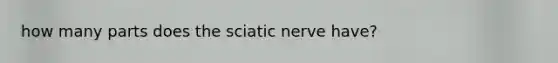 how many parts does the sciatic nerve have?