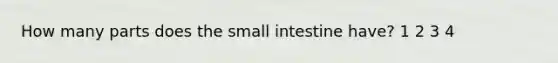 How many parts does the small intestine have? 1 2 3 4