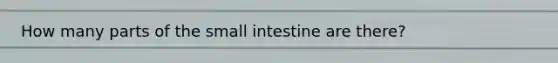 How many parts of the small intestine are there?