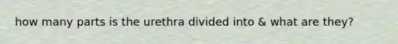 how many parts is the urethra divided into & what are they?