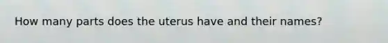 How many parts does the uterus have and their names?