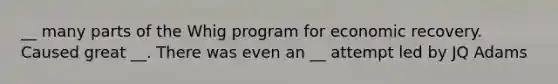 __ many parts of the Whig program for economic recovery. Caused great __. There was even an __ attempt led by JQ Adams