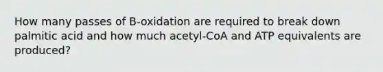 How many passes of B-oxidation are required to break down palmitic acid and how much acetyl-CoA and ATP equivalents are produced?