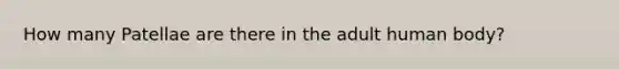 How many Patellae are there in the adult human body?