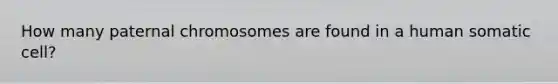 How many paternal chromosomes are found in a human somatic cell?