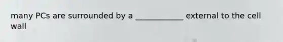 many PCs are surrounded by a ____________ external to the cell wall