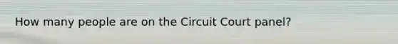 How many people are on the Circuit Court panel?