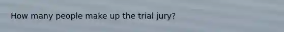 How many people make up the trial jury?