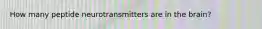 How many peptide neurotransmitters are in the brain?