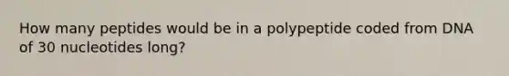 How many peptides would be in a polypeptide coded from DNA of 30 nucleotides long?