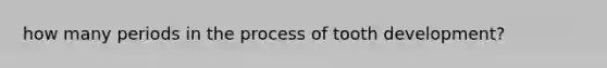 how many periods in the process of tooth development?