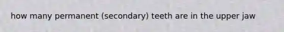 how many permanent (secondary) teeth are in the upper jaw