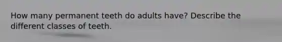 How many permanent teeth do adults have? Describe the different classes of teeth.