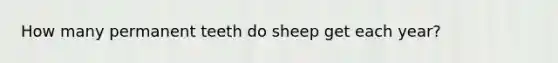 How many permanent teeth do sheep get each year?